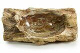 Polished Petrified Wood Soap Dish - Madagascar #378871-3